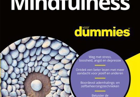 mindfulness voor dummies