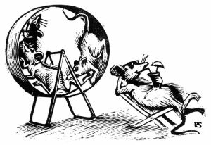 rat race 2