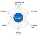 Acceptatie en commitment theorie